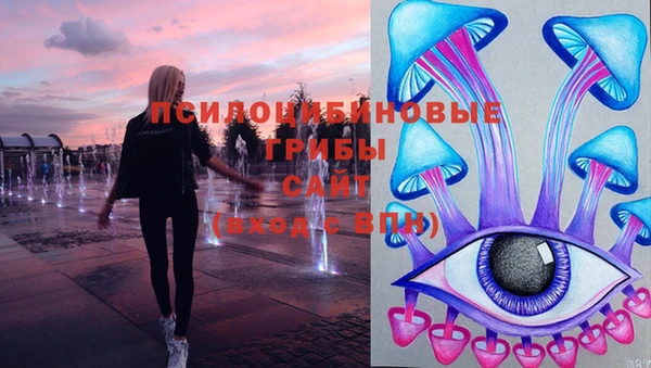 первитин Гусь-Хрустальный