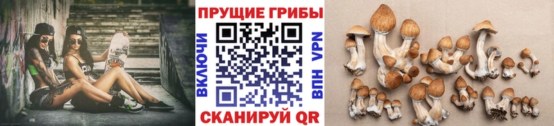 Псилоцибиновые грибы прущие грибы  Подольск 